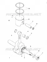 PISTON AND CRANKSHAFT STAR TRAK (4912731273019A)