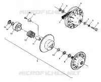 DRIVEN CLUTCH
