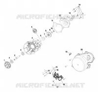 WATER PUMP / OIL PUMP