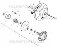 DRIVEN CLUTCH