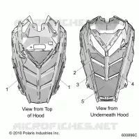 HOOD FOAM/SEAL