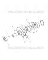 ENGINE, CRANKSHAFT