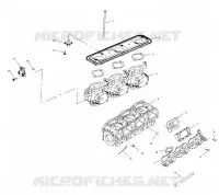 THROTTLE   BODY