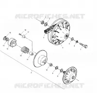 DRIVEN CLUTCH