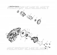 OIL PUMP/WATER PUMP