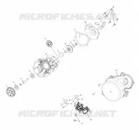 WATER PUMP / OIL PUMP