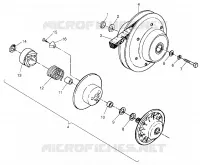 DRIVEN CLUTCH