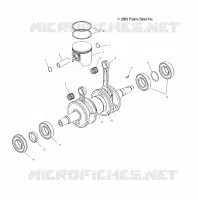 PISTON   CRANKSHAFT (700)