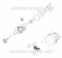 WATER PUMP/OIL PUMP