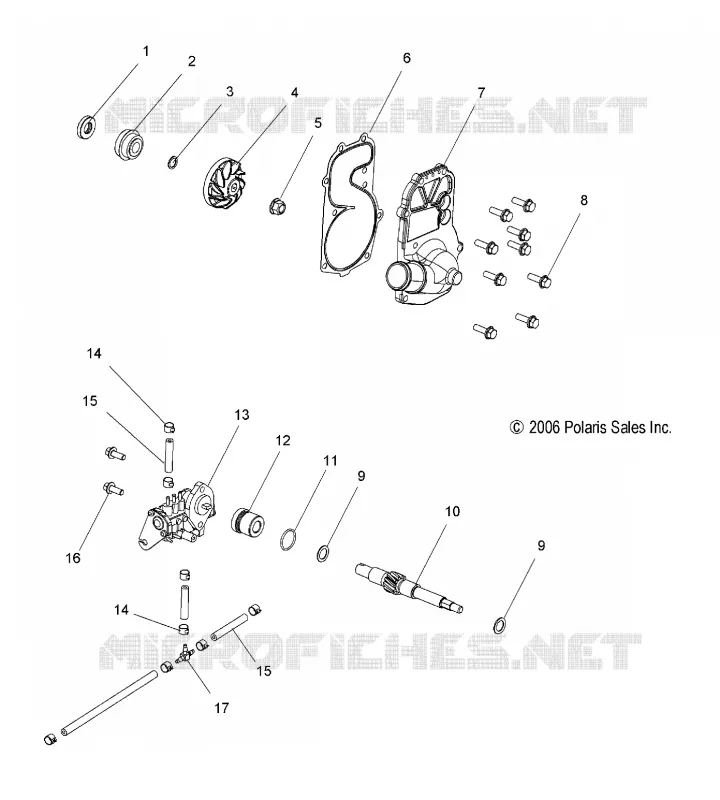 WATER PUMP AND OIL PUMP