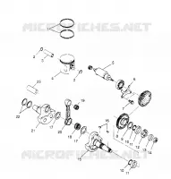 PISTON   CRANKSHAFT SCRAMBLER W957840 (4927252725C012)