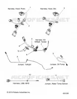 ELECTRICAL, JUMPERS/WIRE HARNESS