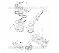 CYLINDER, HEAD   EXHAUST VALVES