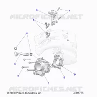 FUEL SYSTEM, THROTTLE BODY/FUEL RAIL