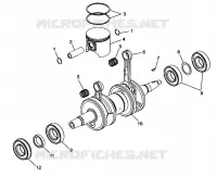 PISTON   CRANKSHAFT