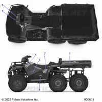 DECALSS GRAPHIC