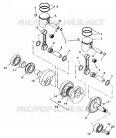 PISTON   CRANKSHAFT