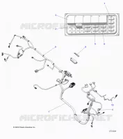 ELECTRICAL, WIRE HARNESSES, CHASSIS
