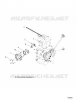 ENGINE, THROTTLE BODY AND FUEL RAIL