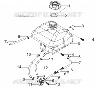 FUEL TANK AND HOSES