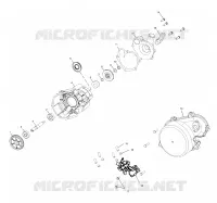 WATER PUMP/OIL PUMP