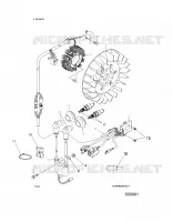 ELECTRICAL, IGNITION SYSTEM