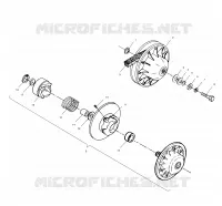 DRIVEN CLUTCH
