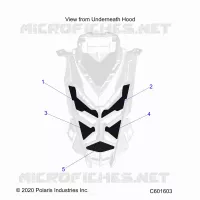 HOOD FOAM/SEAL