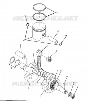 CRANKSHAFT AND PISTON ASSEMBLY (4916361636037A)