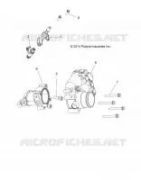 ENGINE, THROTTLE BODY AND FUEL RAIL