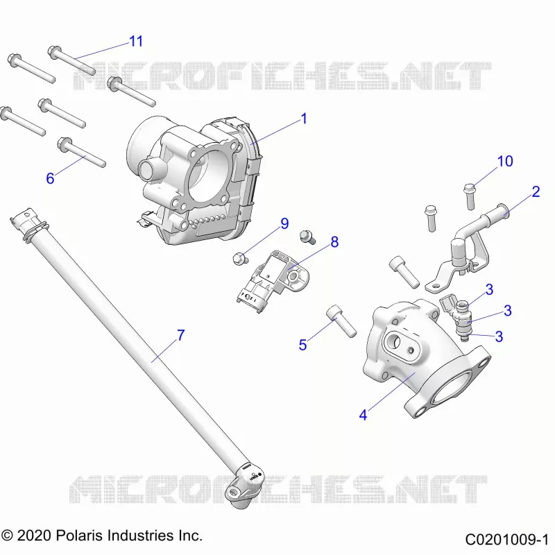 ENGINE, THROTTLE BODY AND FUEL RAIL
