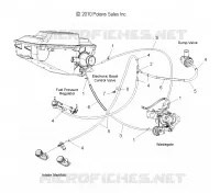 HOSES