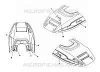 HOOD-DECALSSS  INDY LITE GT (4921342134007A)