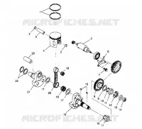 PISTON   CRANKSHAFT SPORT 400L W958540 (4930133013C010)