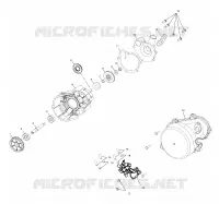 WATER PUMP/OIL PUMP