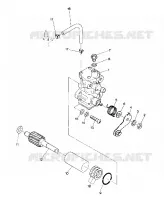 OIL PUMP STAR (4914151415033A)