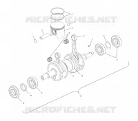PISTON   CRANKSHAFT (800)