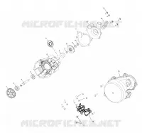 WATER PUMP/OIL PUMP
