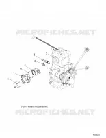 ENGINE, THROTTLE BODY AND FUEL RAIL