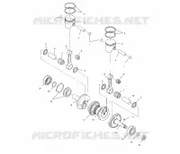 PISTON   CRANKSHAFT