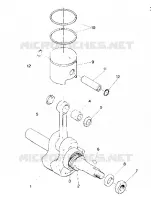 PISTON AND CRANKSHAFT STAR TRAK (4912731273019A)