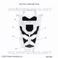 HOOD FOAM/SEAL