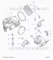 ENGINE, THROTTLE BODY AND FUEL RAIL
