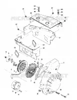 RECOIL STARTER AND BLOWER HOUSING (TRAIL) (4909500950039A)