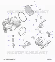 ENGINE, THROTTLE BODY AND FUEL RAIL