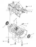 CRANKCASE ASSEMBLY 500 EFI/0930674 AND  500 EFI SKS/0930574 (4922962296029A)