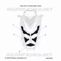 HOOD FOAM/SEAL