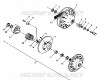 DRIVEN CLUTCH