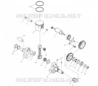PISTON   CRANKSHAFT