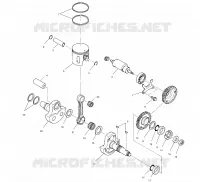 PISTON   CRANKSHAFT (SPORT)